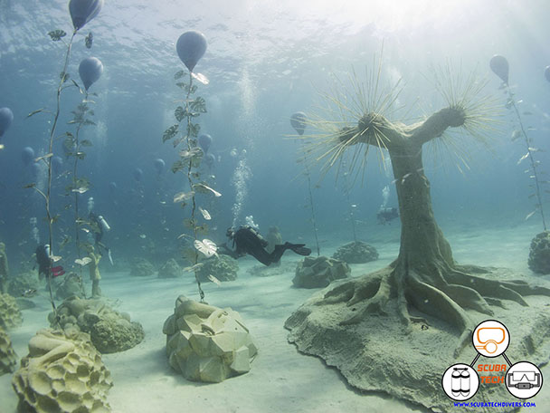 divers moving through the underwater forest at MUSAN