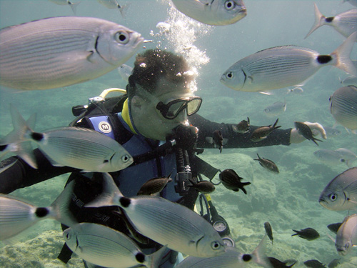 Scuba discovery dive at Green Bay