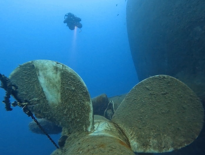 Zenobia propellers